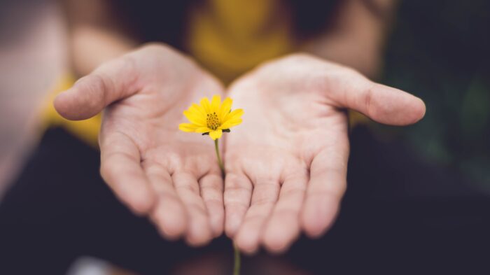 h&s holding flower as a gift